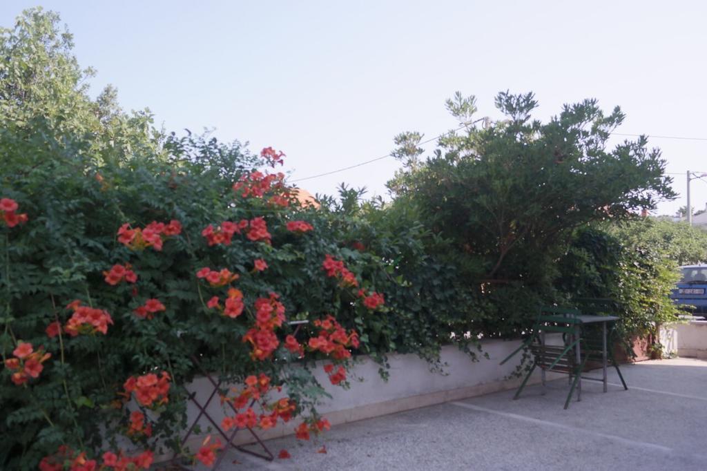 Apartment Lavanda زادار المظهر الخارجي الصورة