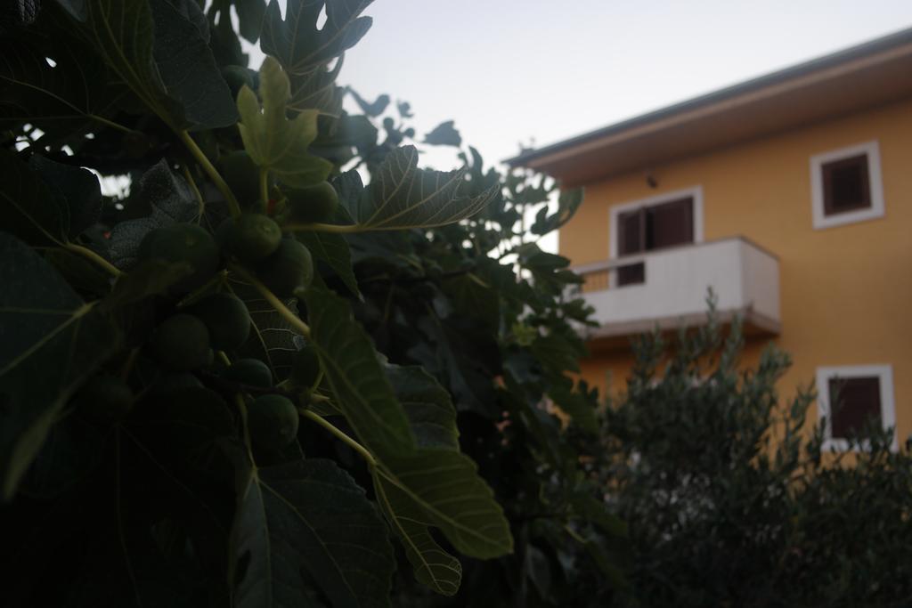 Apartment Lavanda زادار المظهر الخارجي الصورة