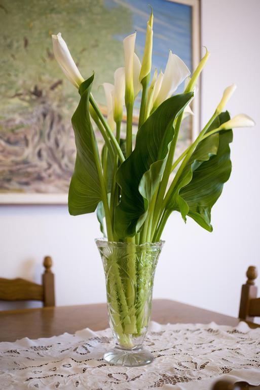 Apartment Lavanda زادار الغرفة الصورة
